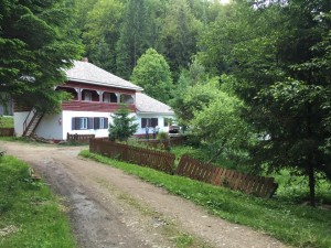 cabana falon