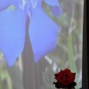 carte_10_20131008_1616601024