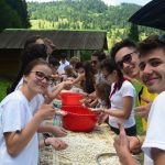 cupa iacomi 2017(464)