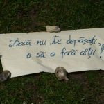 cupa iacomi 2017(784)
