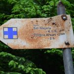cupa montaniarzilor nemteni(1)
