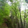 eco_lutu_rosu_108_20130612_1145121585