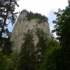 eco_lutu_rosu_110_20130612_1069533256