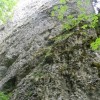 eco_lutu_rosu_113_20130612_1977327915