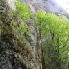 eco_lutu_rosu_123_20130612_1471798705