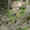 eco_lutu_rosu_128_20130612_1293244434