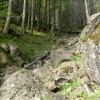 eco_lutu_rosu_130_20130612_2042060775