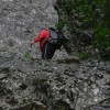 eco_lutu_rosu_136_20130612_1526003792