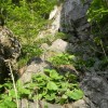 eco_lutu_rosu_139_20130612_1915696112