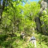 eco_lutu_rosu_140_20130612_1676787915
