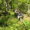 eco_lutu_rosu_141_20130612_1345655899