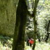 eco_lutu_rosu_144_20130612_1308280024