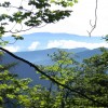 eco_lutu_rosu_145_20130612_1058035358