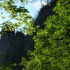 eco_lutu_rosu_146_20130612_1103130319