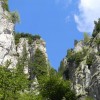 eco_lutu_rosu_14_20130612_1171194777