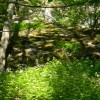 eco_lutu_rosu_150_20130612_1192133529