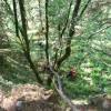 eco_lutu_rosu_153_20130612_1875468041