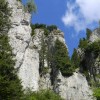 eco_lutu_rosu_15_20130612_2002756338
