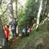 eco_lutu_rosu_163_20130612_1111775512