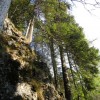 eco_lutu_rosu_165_20130612_1367033028