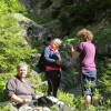 eco_lutu_rosu_16_20130612_1039453103