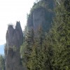 eco_lutu_rosu_181_20130612_1754395886