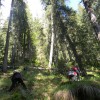 eco_lutu_rosu_193_20130612_1039000553