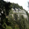 eco_lutu_rosu_194_20130612_1552410494