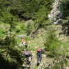 eco_lutu_rosu_196_20130612_1603668379