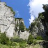 eco_lutu_rosu_19_20130612_1173406792
