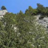 eco_lutu_rosu_203_20130612_2063830406