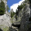 eco_lutu_rosu_20_20130612_1359427730