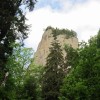 eco_lutu_rosu_212_20130612_1699128182