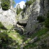 eco_lutu_rosu_24_20130612_1899352554