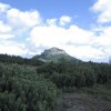 eco_lutu_rosu_252_20130612_1076865986