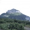 eco_lutu_rosu_255_20130612_1672109855