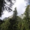 eco_lutu_rosu_32_20130612_1986944312
