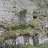 eco_lutu_rosu_36_20130612_1125488090
