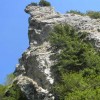 eco_lutu_rosu_3_20130612_1851554818