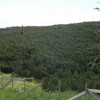 eco_lutu_rosu_42_20130612_1047241214