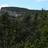 eco_lutu_rosu_47_20130612_1482070611
