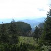 eco_lutu_rosu_48_20130612_1815422029