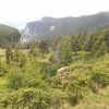 eco_lutu_rosu_51_20130612_1013884154
