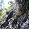 eco_lutu_rosu_5_20130612_1583388220