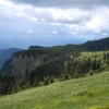 eco_lutu_rosu_65_20130612_1609947965
