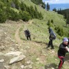 eco_lutu_rosu_73_20130612_1148271911