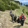 eco_lutu_rosu_75_20130612_1515944029
