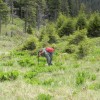 eco_lutu_rosu_76_20130612_1538672146