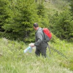 eco_lutu_rosu_79_20130612_1477216430