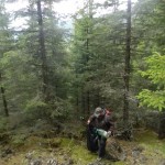 eco_lutu_rosu_81_20130612_2029625678